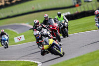 cadwell-no-limits-trackday;cadwell-park;cadwell-park-photographs;cadwell-trackday-photographs;enduro-digital-images;event-digital-images;eventdigitalimages;no-limits-trackdays;peter-wileman-photography;racing-digital-images;trackday-digital-images;trackday-photos